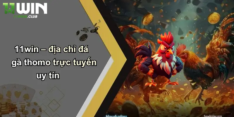 11win – địa chỉ đá gà thomo trực tuyến uy tín