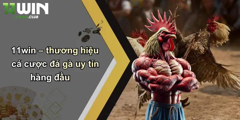 11win – thương hiệu cá cược đá gà uy tín hàng đầu