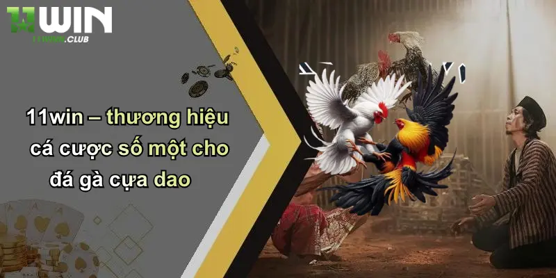 11win – thương hiệu cá cược số một cho đá gà cựa dao