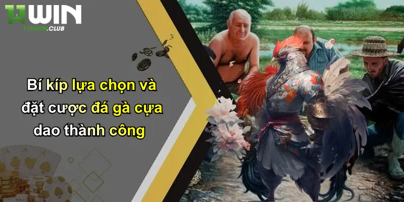 Bí kíp lựa chọn và đặt cược đá gà cựa dao thành công