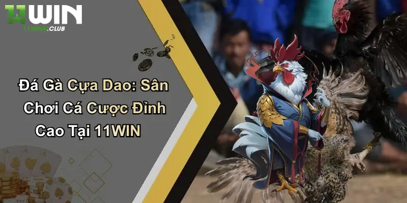 Đá Gà Cựa Dao: Sân Chơi Cá Cược Đỉnh Cao Tại 11WIN