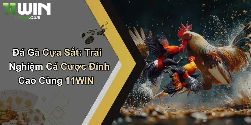 Đá Gà Cựa Sắt: Trải Nghiệm Cá Cược Đỉnh Cao Cùng 11WIN