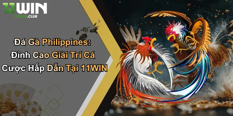 Đá Gà Philippines: Đỉnh Cao Giải Trí Cá Cược Hấp Dẫn Tại 11WIN