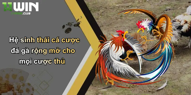 Hệ sinh thái cá cược đá gà rộng mở cho mọi cược thủ