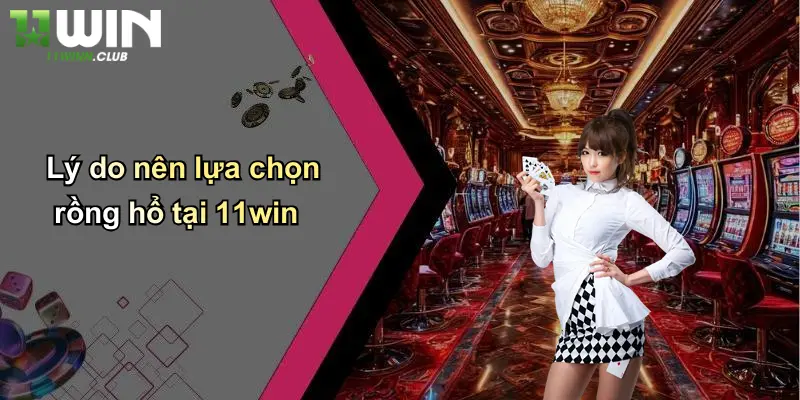 Lý do nên lựa chọn rồng hổ tại 11win
