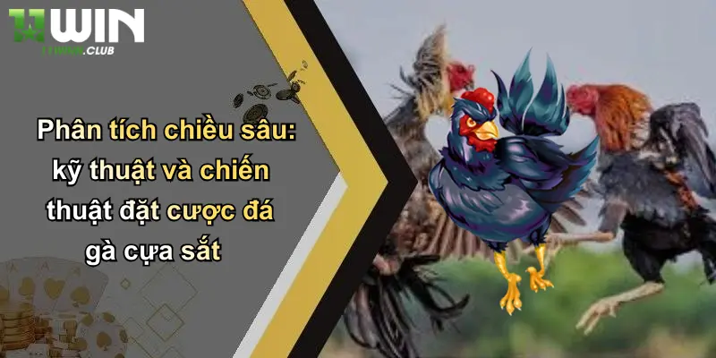 Phân tích chiều sâu: kỹ thuật và chiến thuật đặt cược đá gà cựa sắt