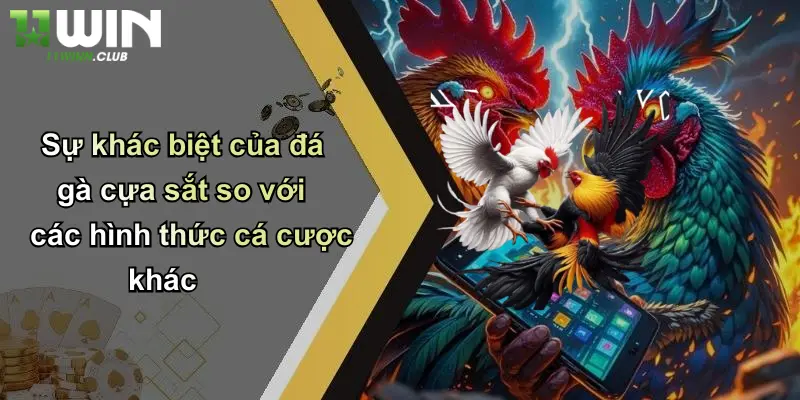 Sự khác biệt của đá gà cựa sắt so với các hình thức cá cược khác