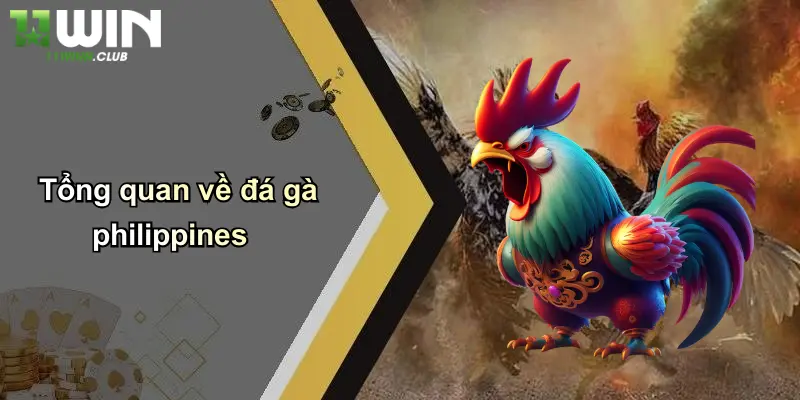 Tổng quan về đá gà philippines