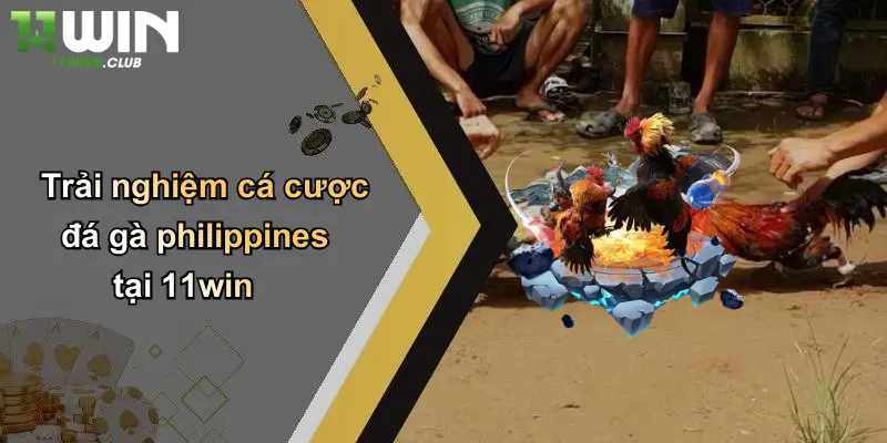 Trải nghiệm cá cược đá gà philippines tại 11win